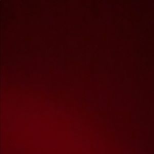 Meet your Posher, Skylar